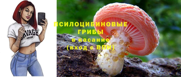 2c-b Верхнеуральск